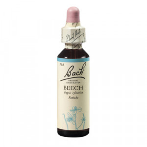 Produktbild von BACHBL&Uuml;TEN Beech Tropfen