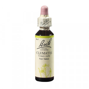 Produktbild von BACHBL&Uuml;TEN Clematis Tropfen