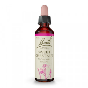 Produktbild von BACHBL&Uuml;TEN Sweet Chestnut Tropfen